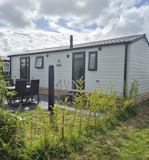 347b1ad9-679a-4650-ab46-0d666f69fff3